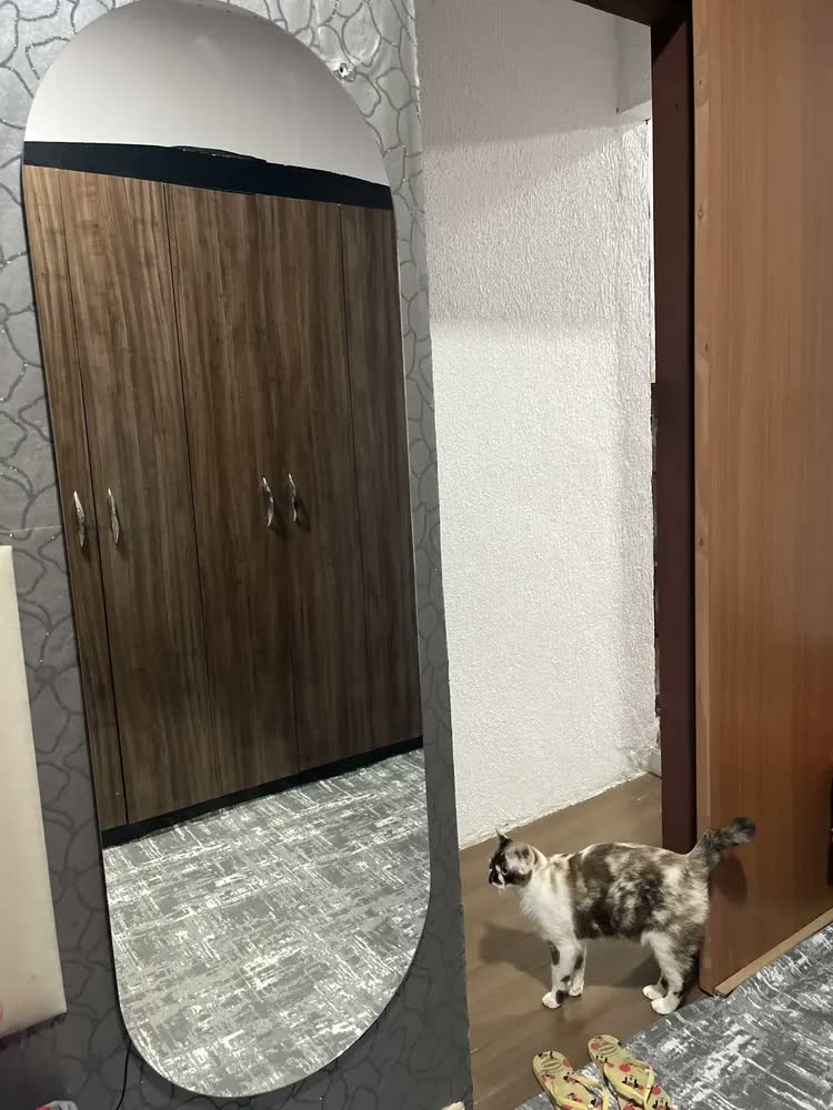 foto de Espelho de Parede com Iluminação LED Fria Pílula 50x80cm - Ideal para Sala, Quarto e Banheiro, Com Moldura Lapidado com Formato Pílula para Diversos Ambientes