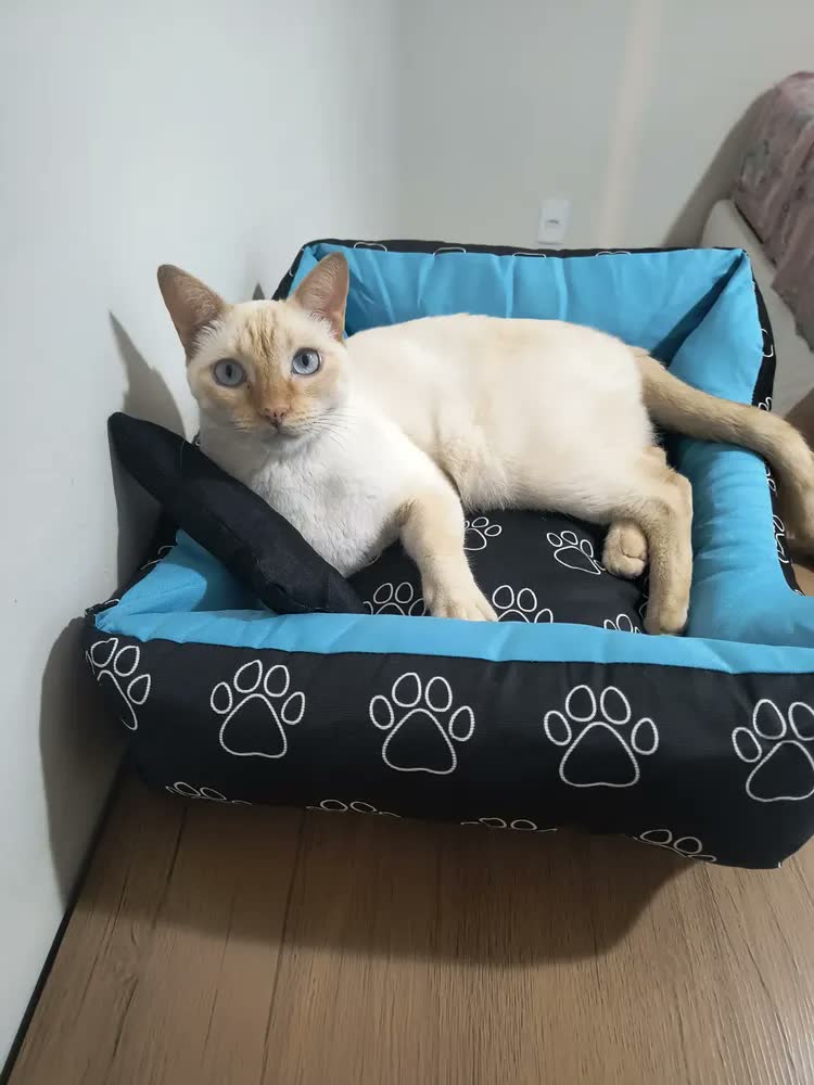 foto de Cama Pet Cachorro Porte Pequeno/médio Impermeável Tamanho M