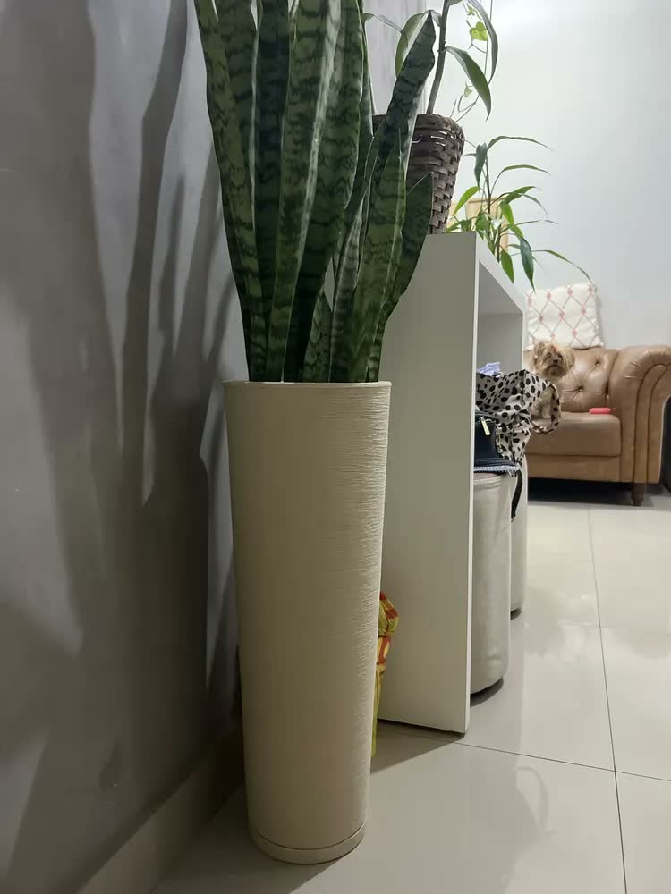 foto de Kit Vasos Ibiza Coluna Altos 71cm E 60cm Casa Luxo Escovado