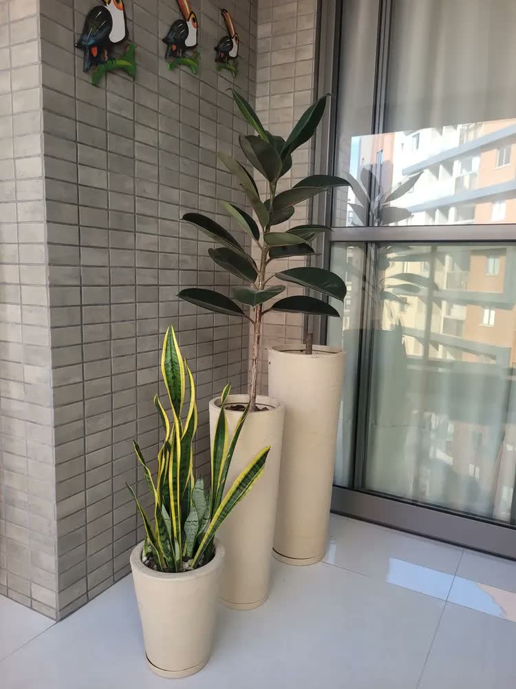 foto de Kit Vasos Ibiza Coluna Altos 71cm E 60cm Casa Luxo Escovado