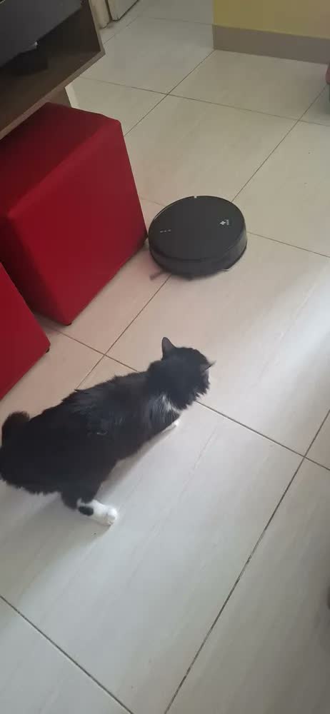 foto de Robô Aspirador De Pó Inteligente Passa Pano Mapeamento Ekaza Preto