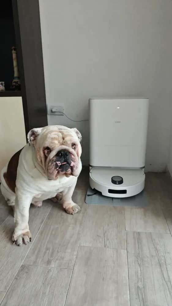 foto de Xiaomi Robô Aspirador Vacuum 5 20000pa Base Autolimpante Cor Branco