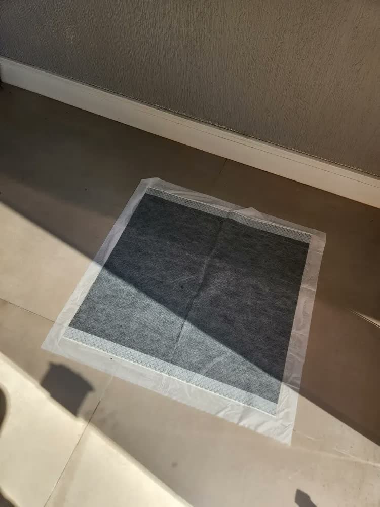 foto de Tapete Higiênico com Carvão Ativado 30 Unidades 80x60 - Caramelo