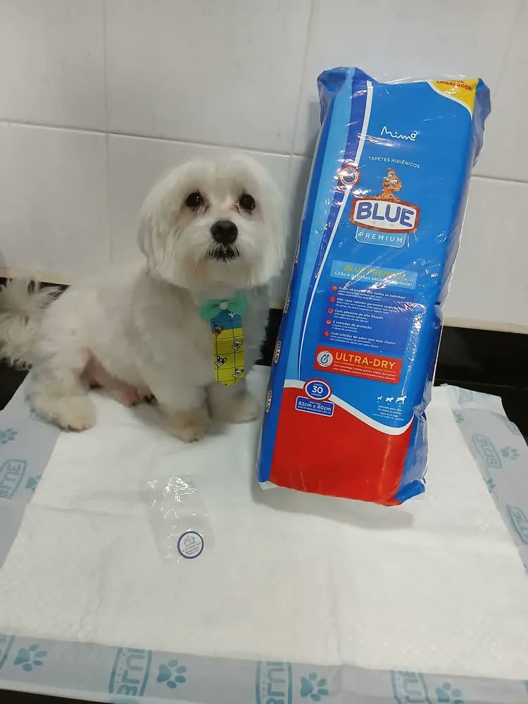 foto de Tapete Higiênico Para Cães 82x60cm 30 Und Blue Premium - 1 Branco