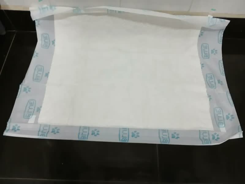 foto de Tapete Higiênico Para Cães 82x60cm 30 Und Blue Premium - 1 Branco