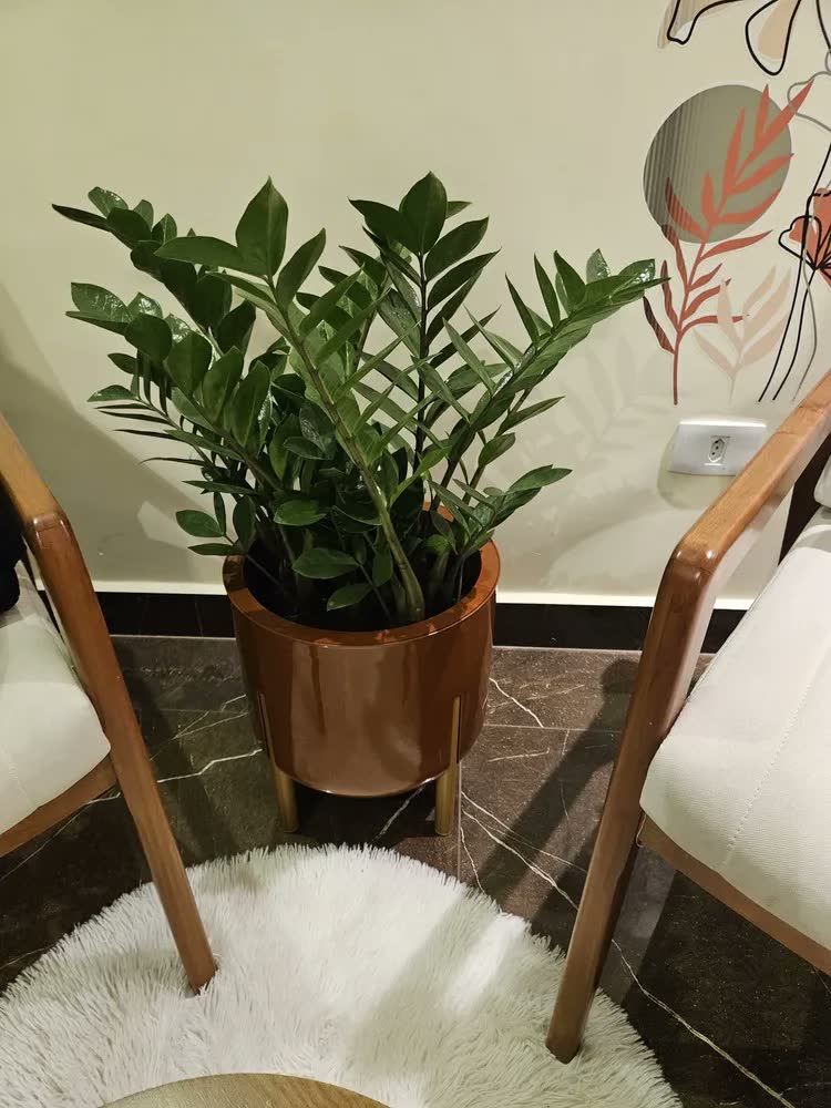 foto de Vaso Premium Grande Para Plantas Pés Madeirados Anti Dengue
