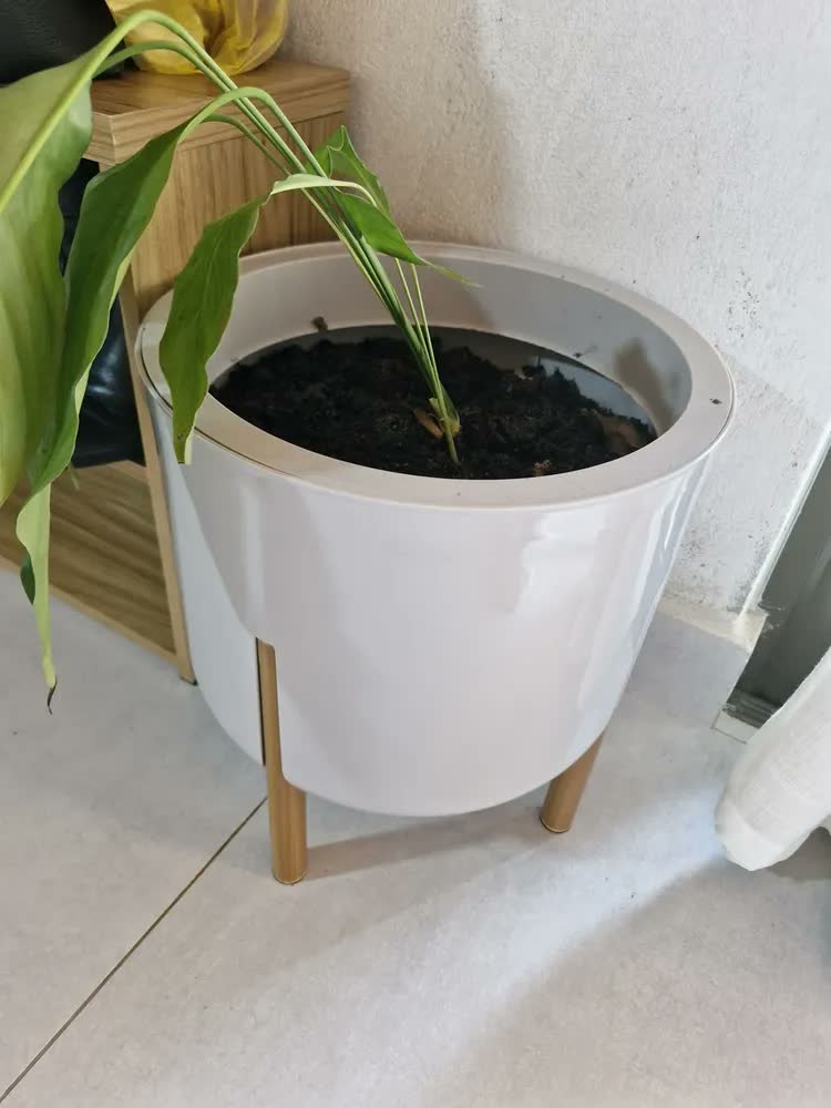 foto de Vaso Premium Grande Para Plantas Pés Madeirados Anti Dengue