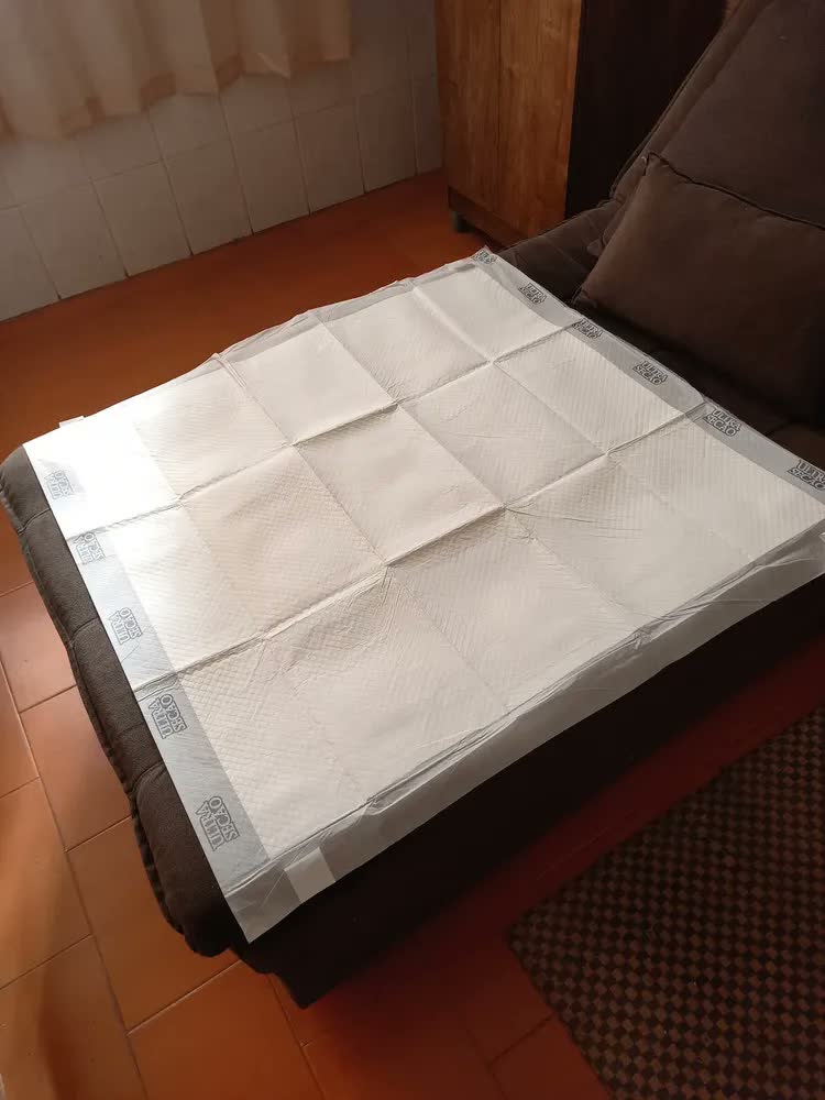 foto de Tapete Higiênico Ultra Secão Max 90x90 Great Pets 30und