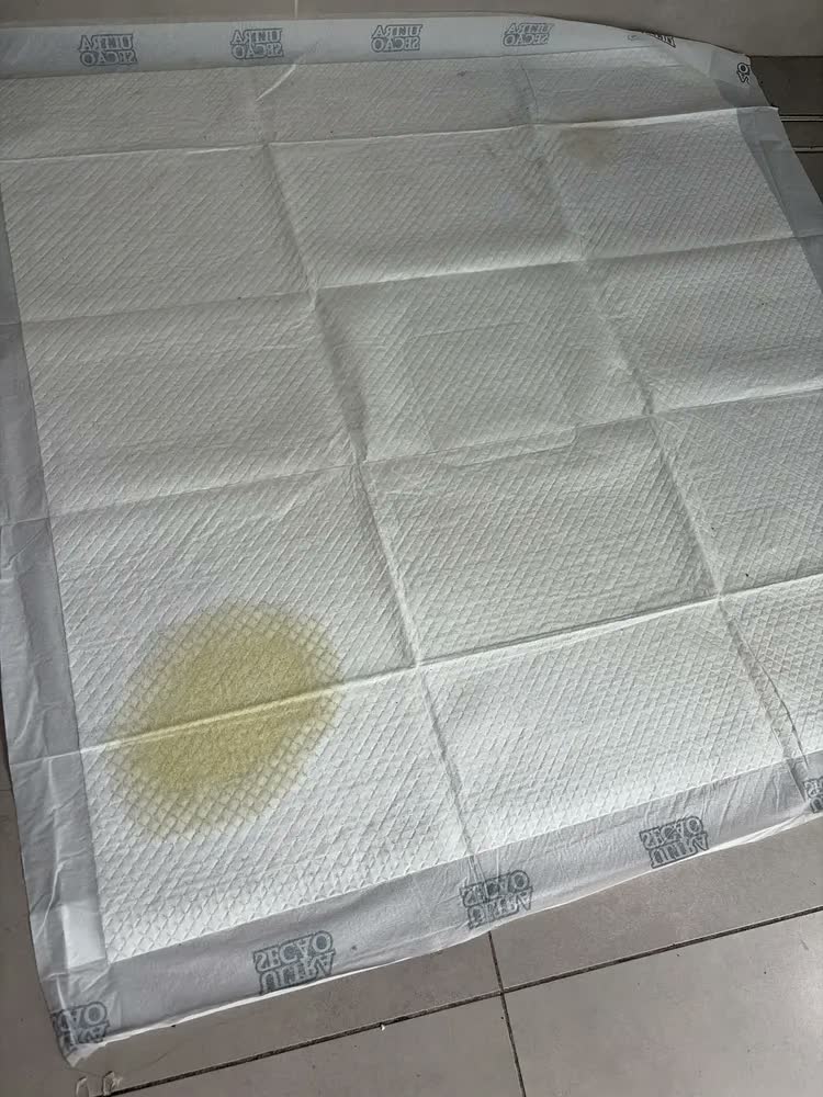 foto de Tapete Higiênico Ultra Secão Max 90x90 Great Pets 30und