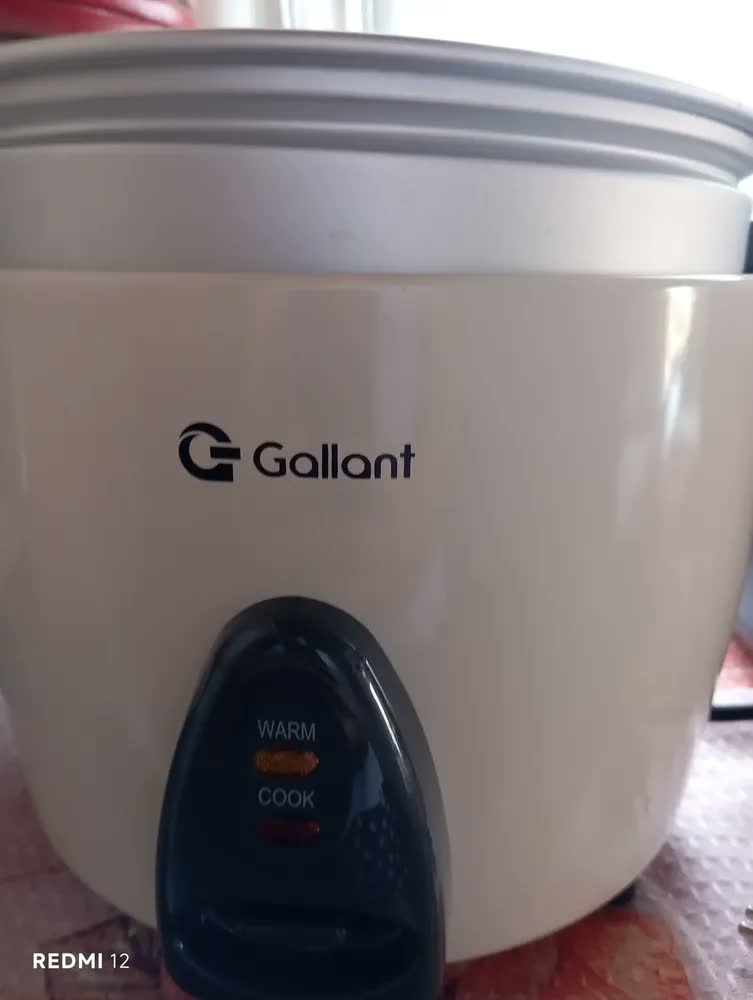 foto de Panela De Arroz Elétrica Gallant 10 Cups