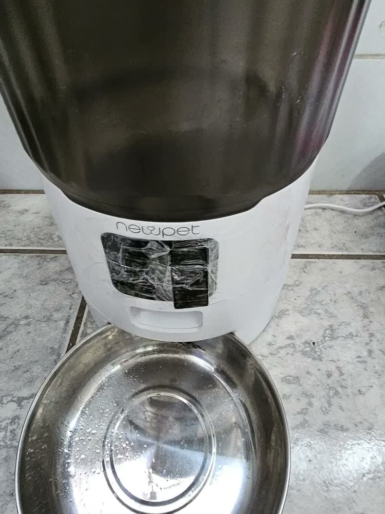 foto de Comedouro Automático NewPet com Gravação de Voz para Cães e Gatos 4L