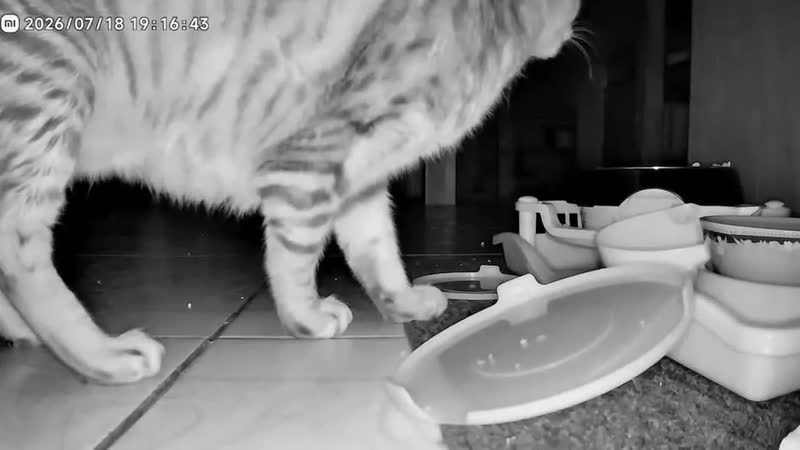 foto de Câmera de segurança Xiaomi Smart Camera C201 branca branca