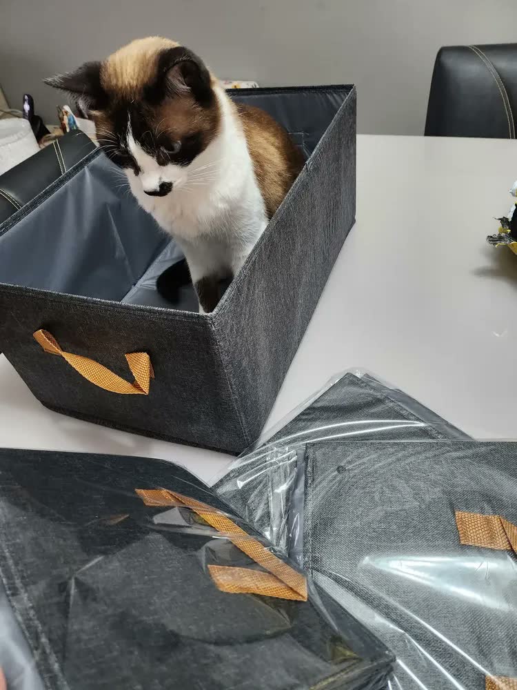 foto de Kit 4 Caixas Cesto Organizadora Grande Dobrável Guarda Roupa Gaveta Mesas Banheiro Cor Cinza