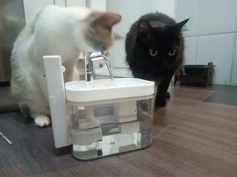foto de Bebedouro Fonte Automático Cães Gatos Com Sensor E Sem Fio Cor Branco