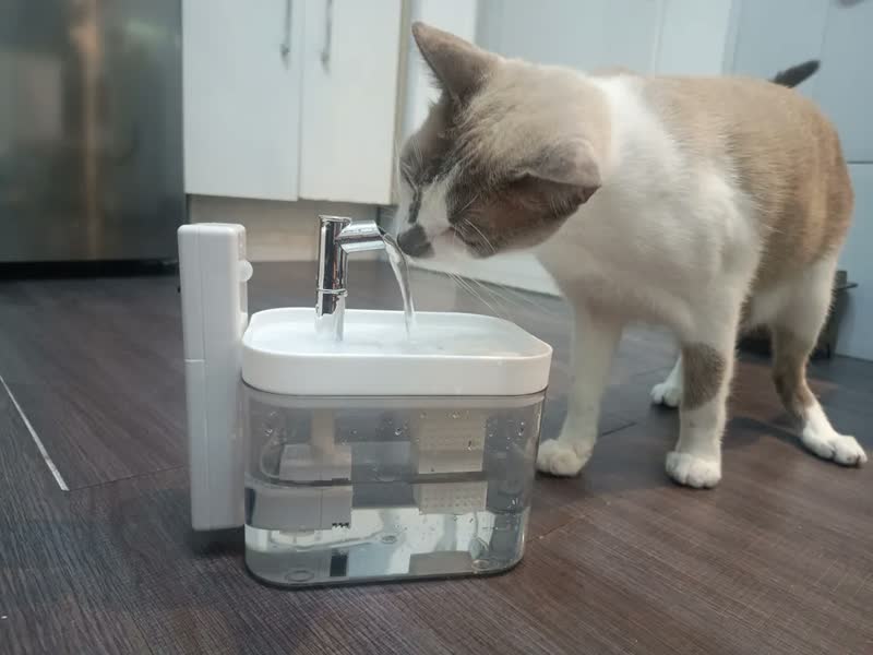 foto de Bebedouro Fonte Automático Cães Gatos Com Sensor E Sem Fio Cor Branco