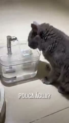 vídeo do produto