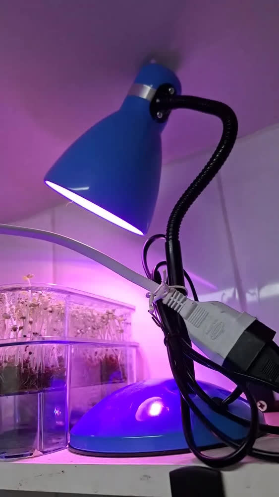 foto de Luminária De Mesa Dapon Dp201 Abajur Articulada Flexível Rosa