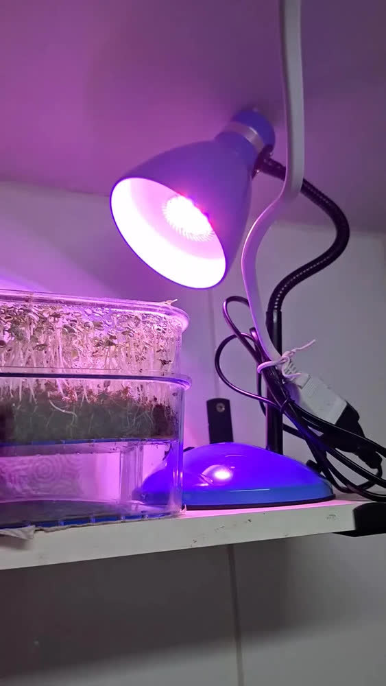 foto de Luminária De Mesa Dapon Dp201 Abajur Articulada Flexível Rosa