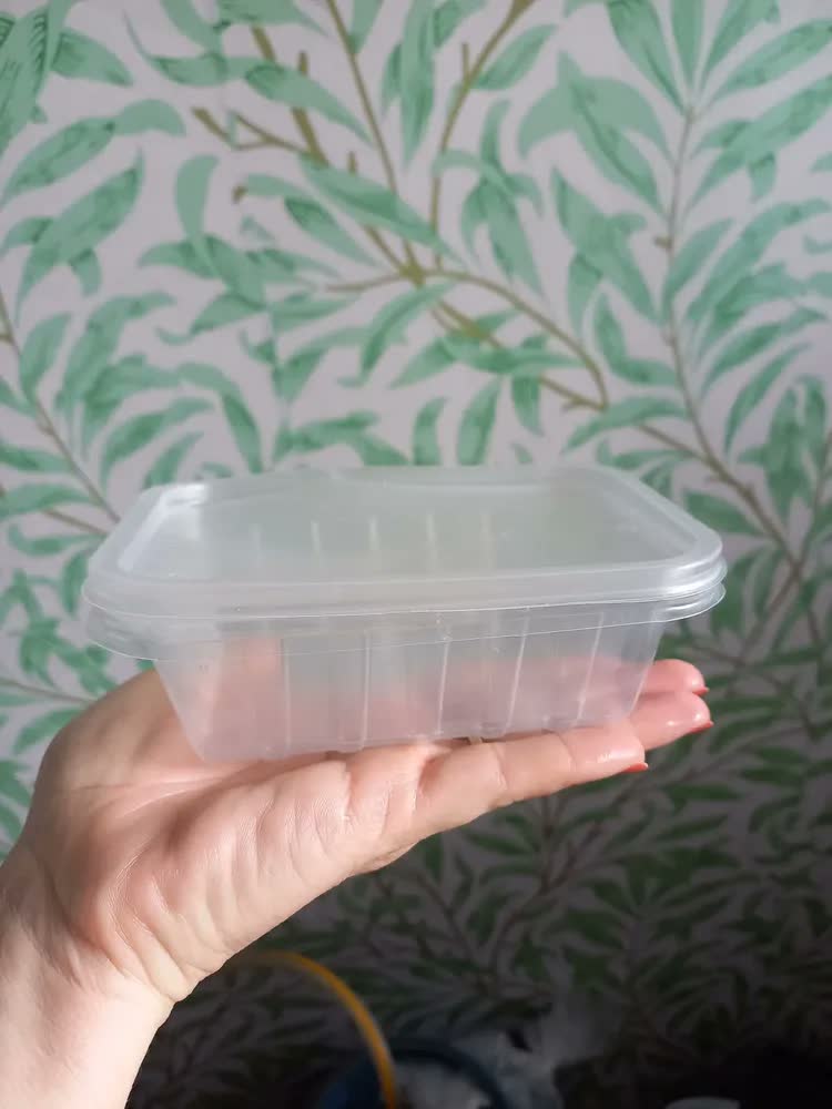 foto de 24 Marmitas 250ml Comida Fitness Pote Descartável Retangular Plástico Freezer Microondas Com Tampas - Mtones