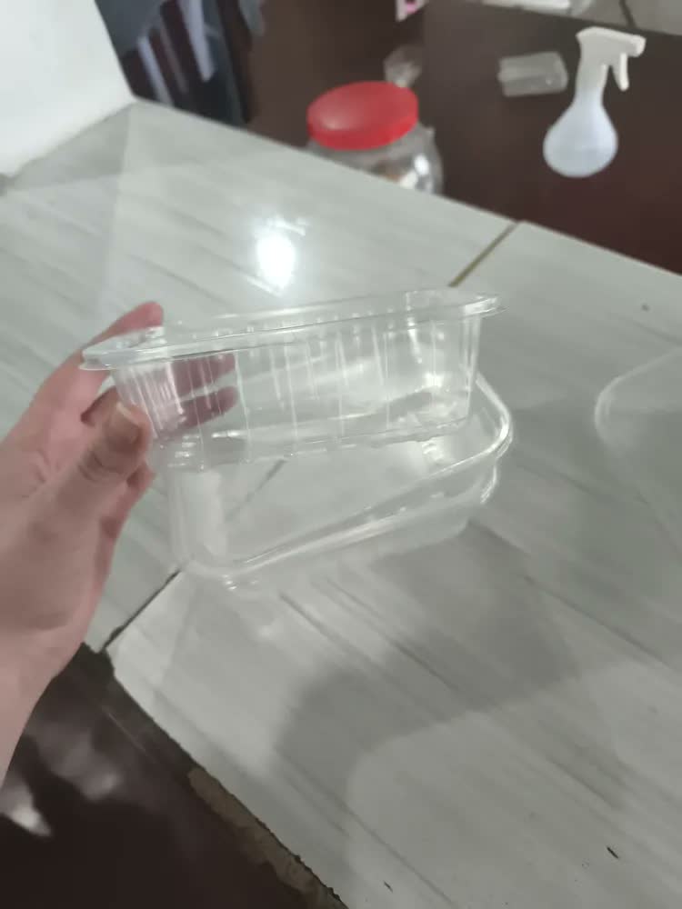 foto de 24 Marmitas 500ml Comida Fitness Pote Descartável Retangular Plástico Freezer Microondas Com Tampas - Montza