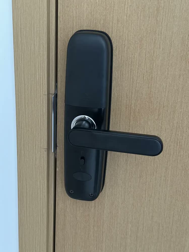 foto de Fechadura Eletronica Digital Biometria Com Câmera+wi-fi Tuya,senhas Únicas Remotas E Desbloqueio Nfc Para Apartamentos, Hotéis E Residências