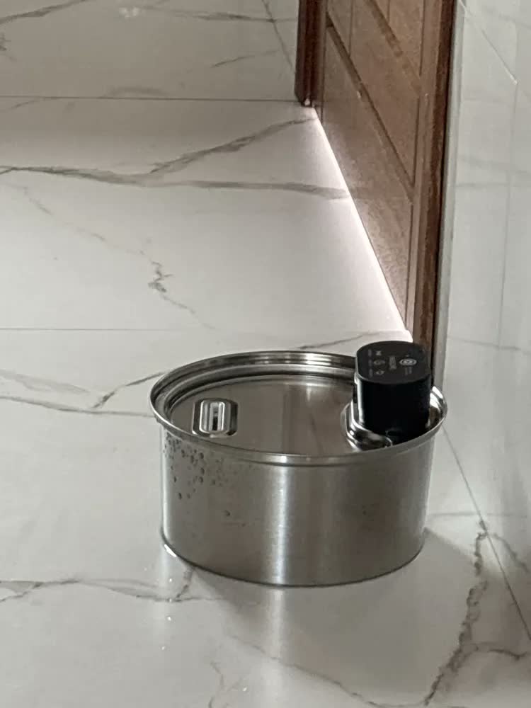 foto de Sensor Sem Fio Bebedouro Fonte Para Gato Cão Newpet 3.2l