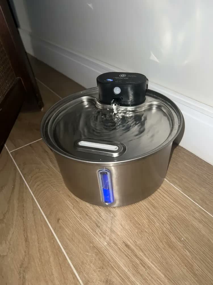 foto de Sensor Sem Fio Bebedouro Fonte Para Gato Cão Newpet 3.2l