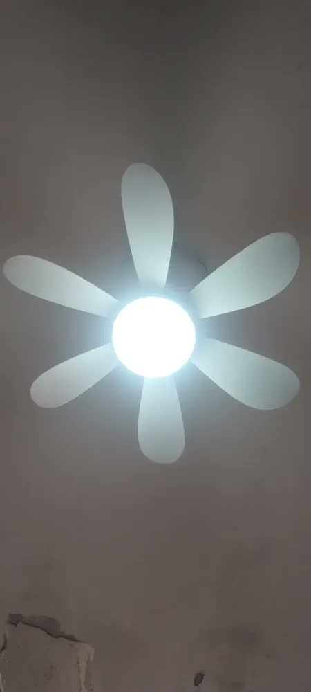 foto de Ventilador Teto Com Luz Polo Uk Mini Ventilador 60w Com A Estrutura Branco 42 Cm Branco Plástico 50 Hz X 60 Hz