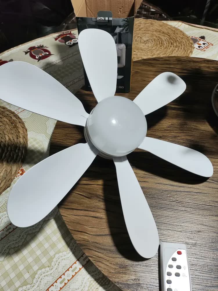 foto de Ventilador Teto Com Luz Polo Uk Mini Ventilador 60w Com A Estrutura Branco 42 Cm Branco Plástico 50 Hz X 60 Hz