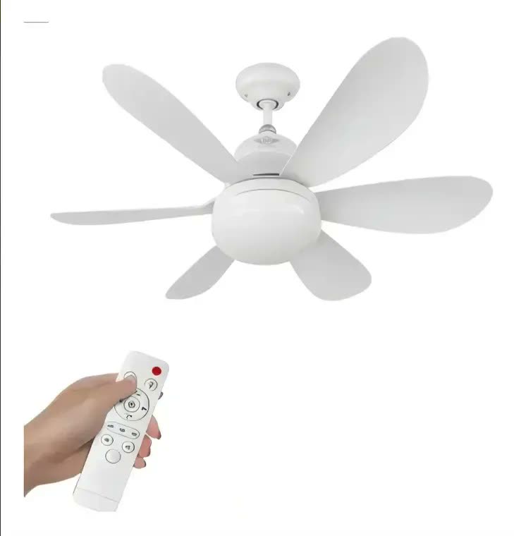 Ventilador Teto Com Luz Polo Uk Mini Ventilador 60w Com A Estrutura Branco 42 Cm Branco Plástico 50 Hz X 60 Hz