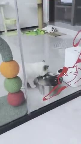 vídeo do produto