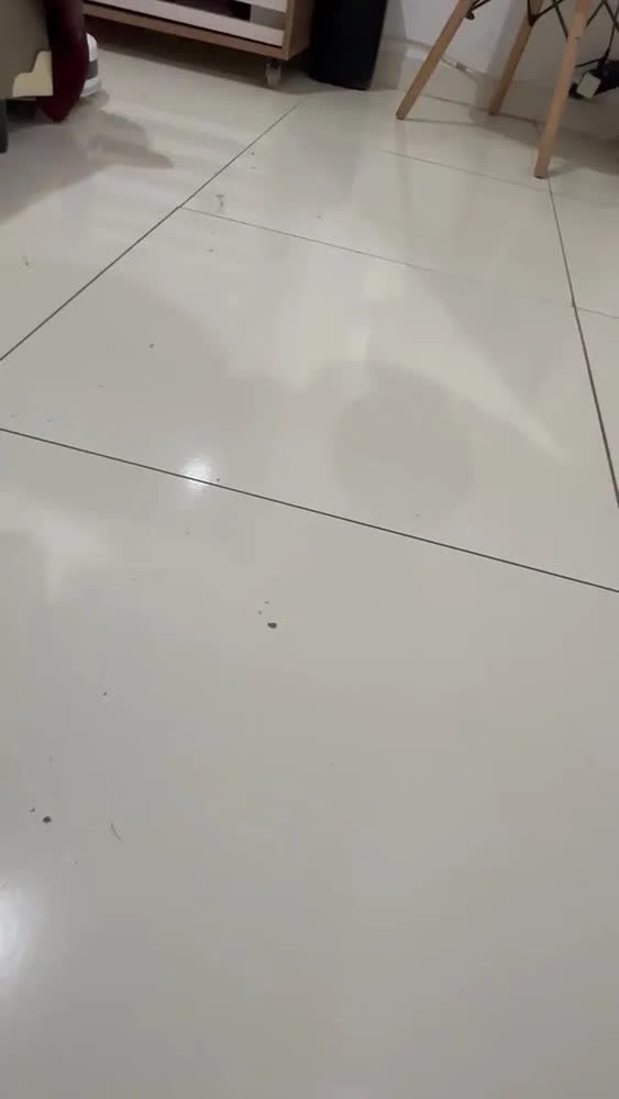foto de Robo Aspirador Xiaomi Robot Vacuum H40 10000pa Branco