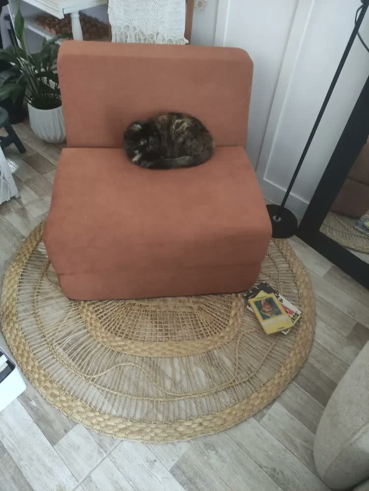 foto de Poltrona 3 Em 1 Multifuncional Retrátil, Vira Cama Solteiro E Espreguiçadeira, Ideal Para Sala Pequena, Apartamento, Leitura, Descanso E Visitas