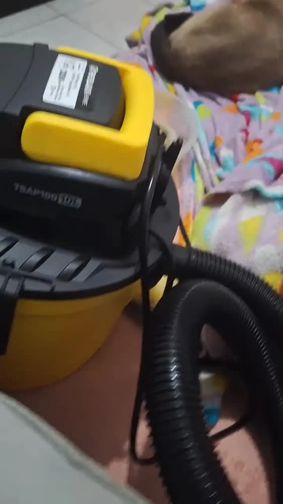 foto de Aspirador De Pó E Água Com Bico Extratora E Bocal Sopro Compacto 10 Litros Amarelo/preto Tbap100 The Black Tools