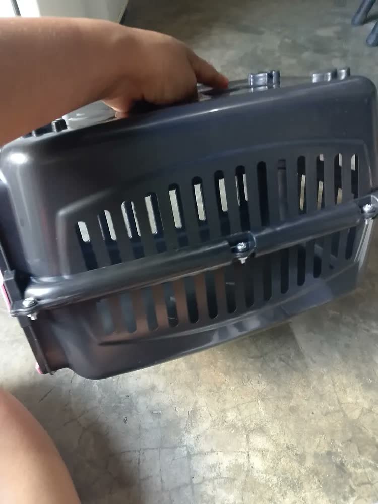 foto de Caixa De Transporte Preta N°1 Filhotes Cão Gato Ave Roedor