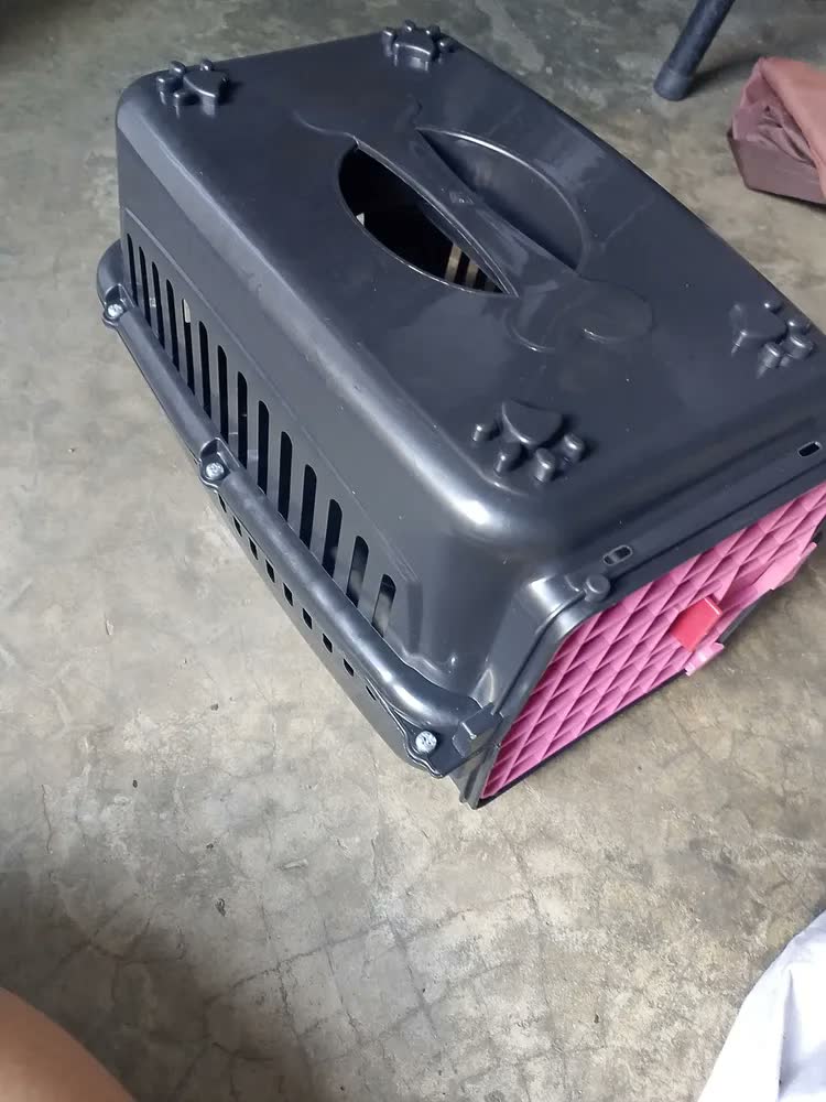 foto de Caixa De Transporte Preta N°1 Filhotes Cão Gato Ave Roedor