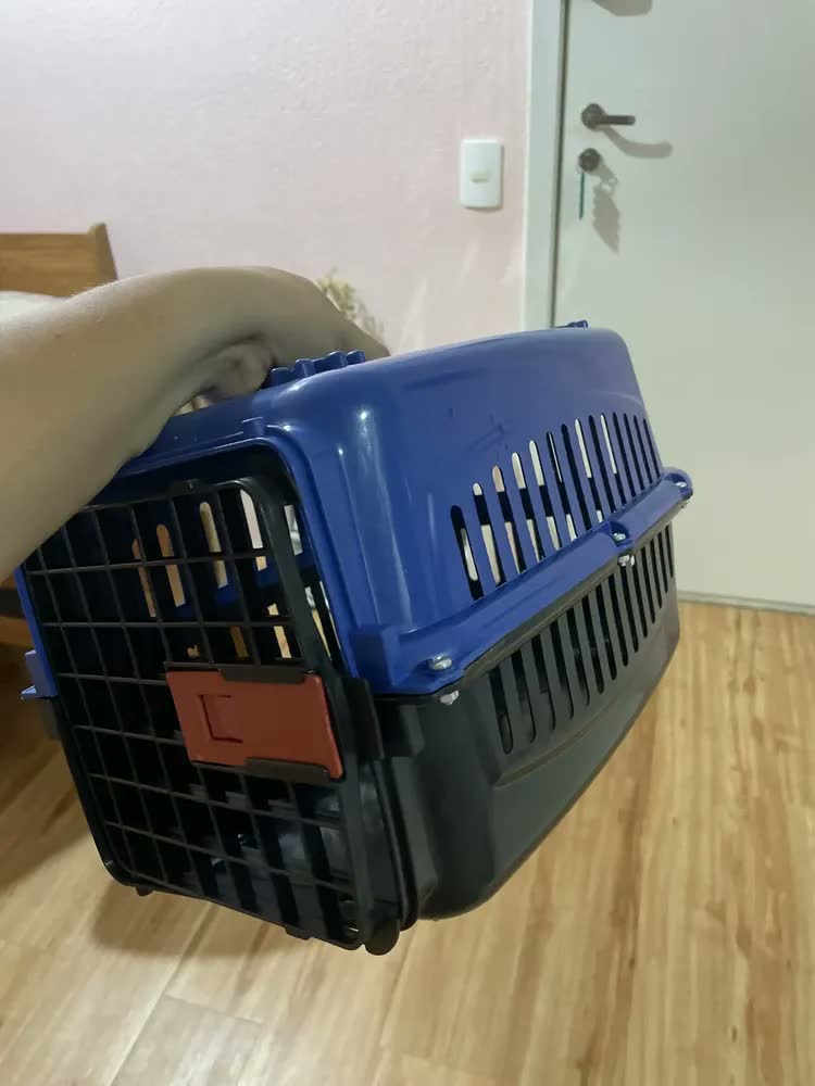 foto de Caixa De Transporte N° 1