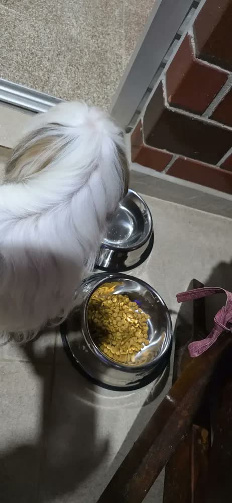 foto de Kit 2 Comedouros Inox Pote Ração Inox Cachorro Grande 1600ml Pote De Ração E Agua Inox
