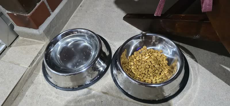foto de Kit 2 Comedouros Inox Pote Ração Inox Cachorro Grande 1600ml Pote De Ração E Agua Inox