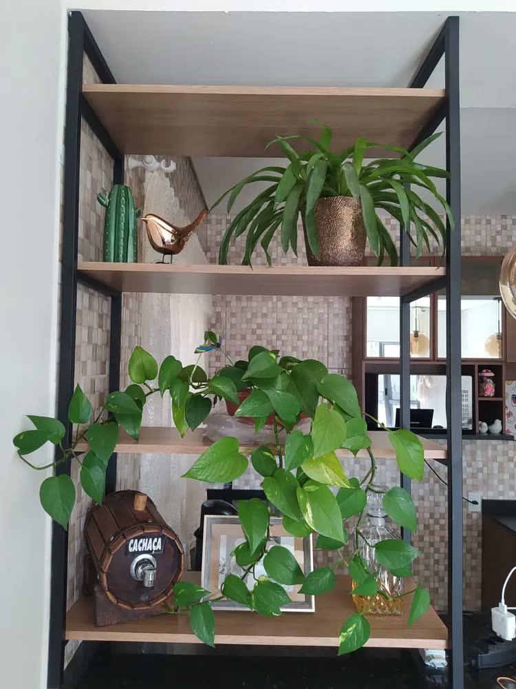 foto de Estante Para Livros Kappesberg Industrial LI006 Canela Preto