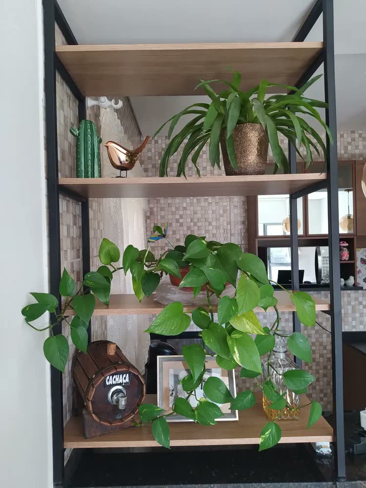 foto de Estante Para Livros Kappesberg Industrial LI006 Canela Preto