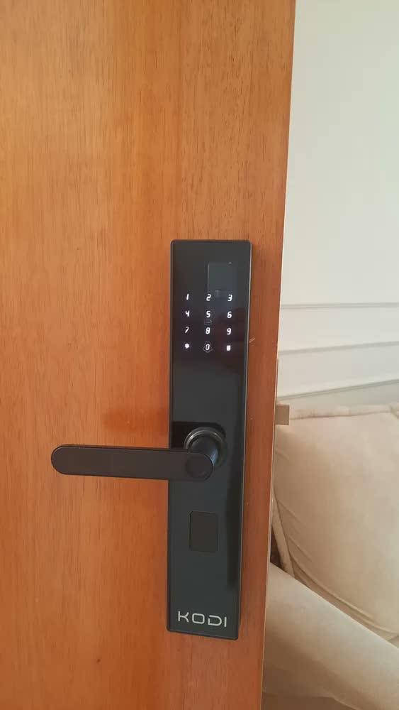 foto de Fechadura Digital Inteligente para Porta de Vidro com Wi-Fi, Biometria e Senha Ali Ron