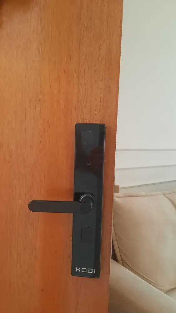 foto de Fechadura Digital Inteligente para Porta de Vidro com Wi-Fi, Biometria e Senha Ali Ron