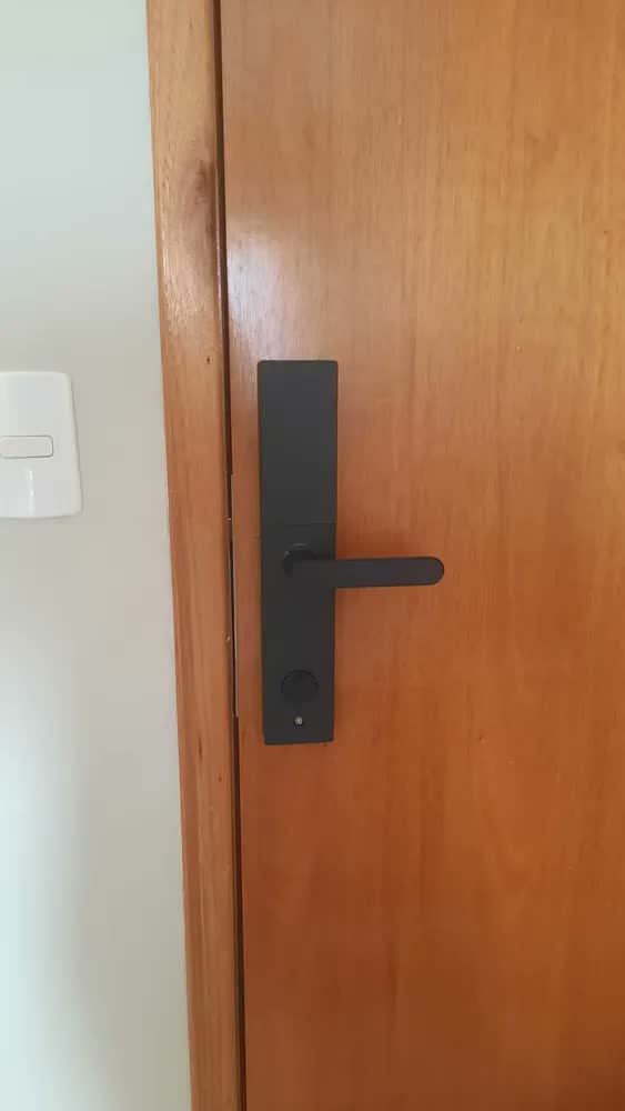 foto de Fechadura Digital Inteligente para Porta de Vidro com Wi-Fi, Biometria e Senha Ali Ron