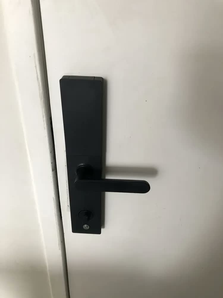 foto de Fechadura Digital Inteligente para Porta de Vidro com Wi-Fi, Biometria e Senha Ali Ron