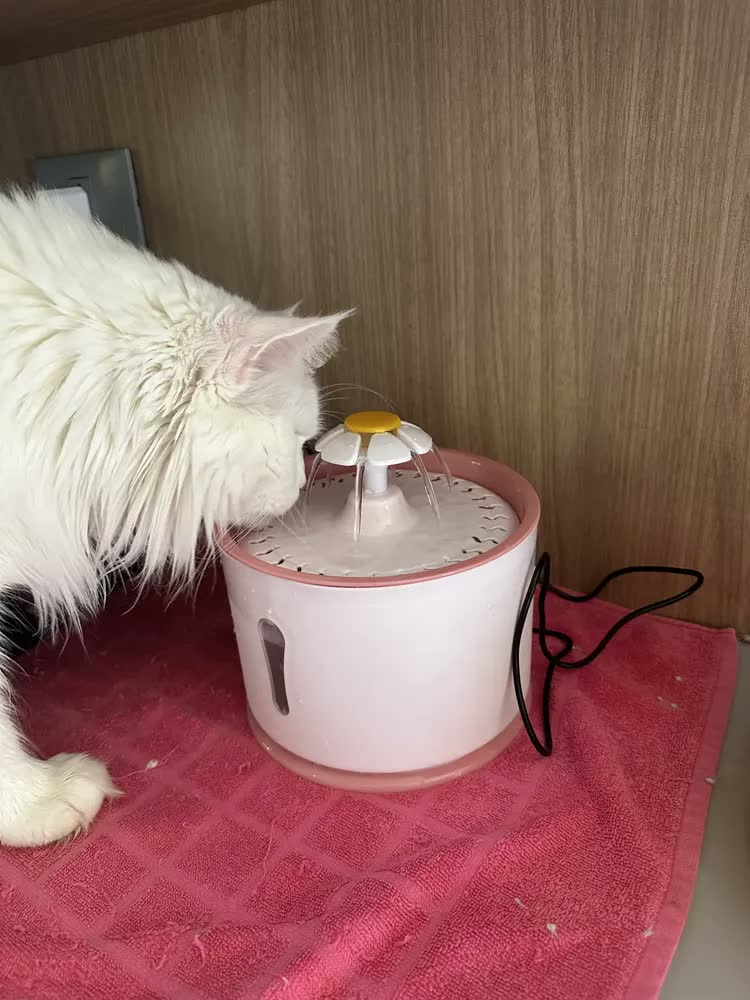 foto de Bebedouro Fonte Gato Cão Filtragem Purificação Pet Automatic Cor Rosa