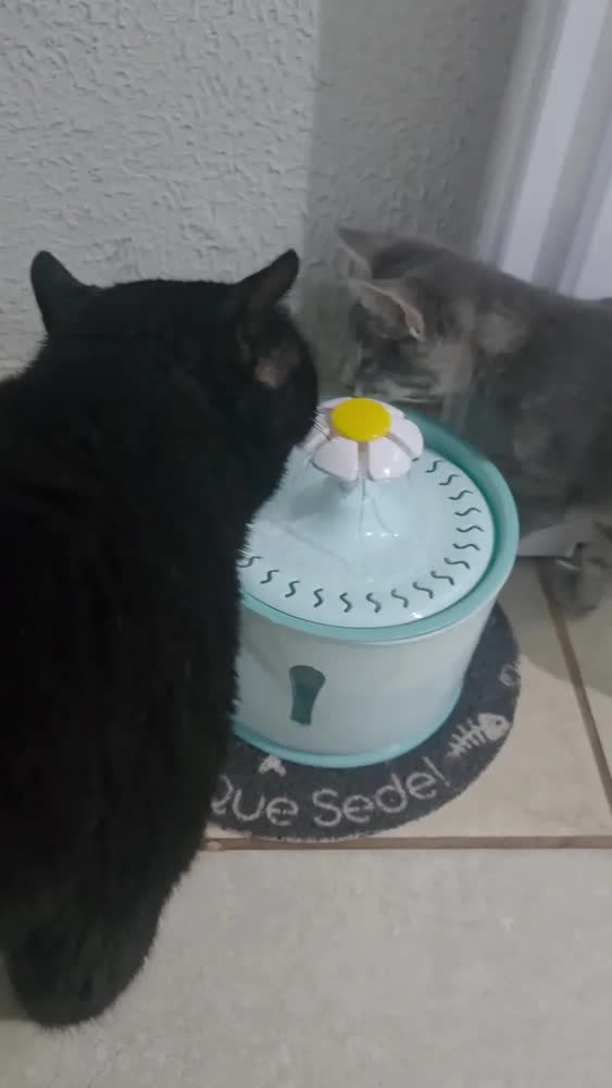 foto de Bebedouro Fonte Gato Cão Filtragem Purificação Pet Automatic Cor Rosa