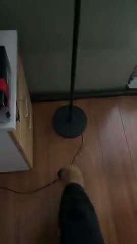 vídeo do produto