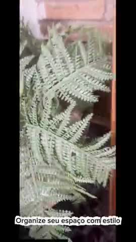 vídeo do produto