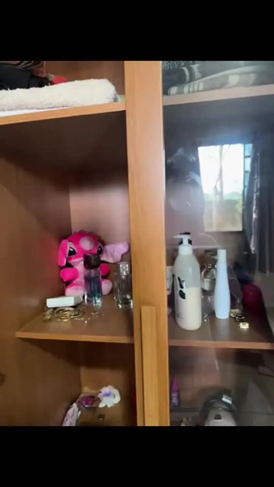 foto de Guarda-roupa Casal Com Pés Reflecta Com Led 06 Portas Cinamomo